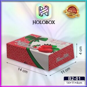 dus martabak/kotak makan/box serbaguna/Uk 14x11x4/B2-01
