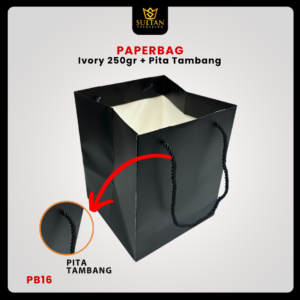 Paper Bag Hadiah / Premium Gift Bag / Tas Kado Jinjing / PB16